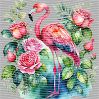 Animal Integration-DW 1384